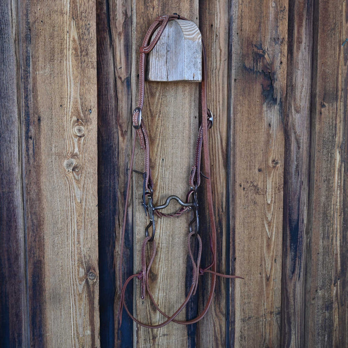 Solid Port Bridle Rig w/Single Ear Headstall