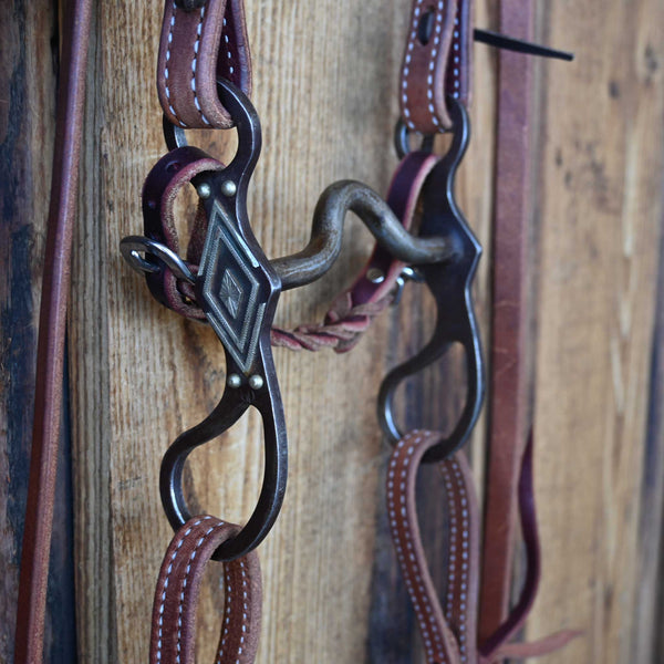 Headstalls & Rigs