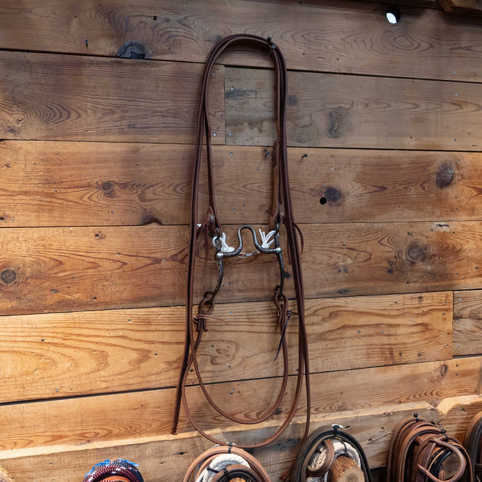 Kerry Kelley  65 Silver Mouted Post Bridle Rig 1914