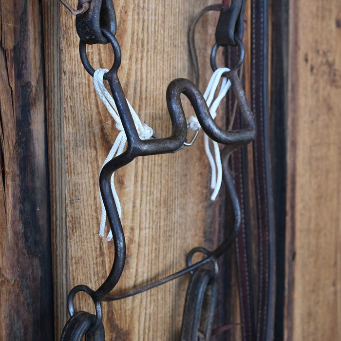 Daryl Davis Solid Port Bridle Rig w/Split Ear Headstall