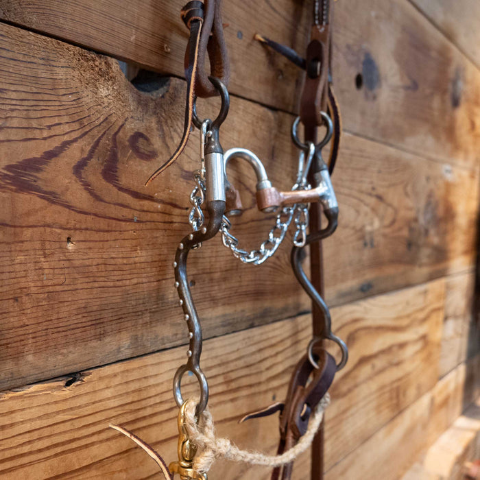 Correction Bridle Rig