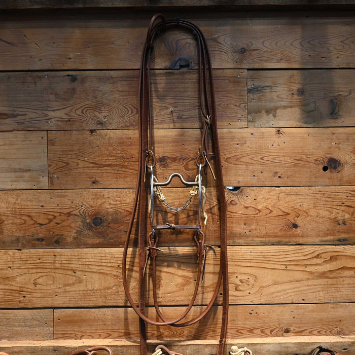 Daryl Davis Solid Port Bridle Rig w/ Single Ear Headstall Tack - Rigs Daryl Davis