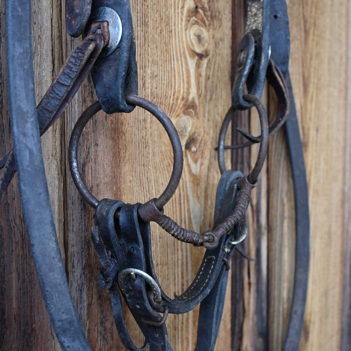 O-Ring Corkscrew Snaffle Bridle Rig w/Split Ear Headstall Tack - Rigs misc