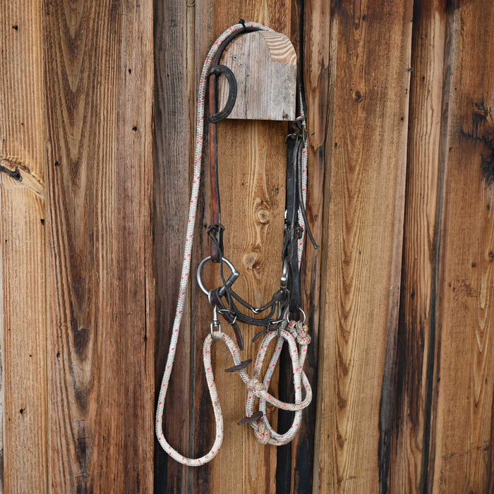 JD D-Ring Snaffle Bridle Rig w/Single Ear Headstall Tack - Rigs JD Bits