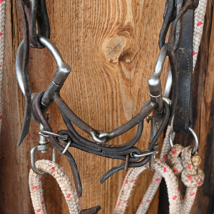 JD D-Ring Snaffle Bridle Rig w/Single Ear Headstall Tack - Rigs JD Bits