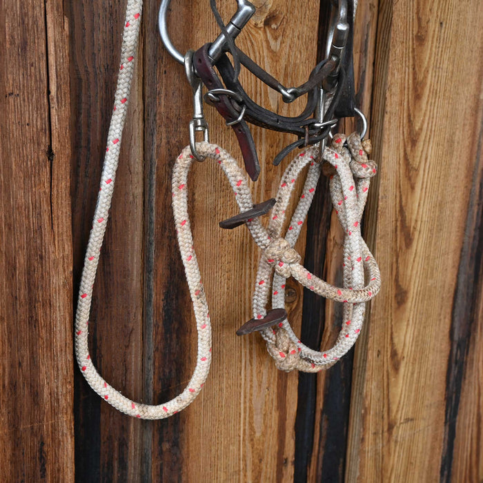 JD D-Ring Snaffle Bridle Rig w/Single Ear Headstall Tack - Rigs JD Bits