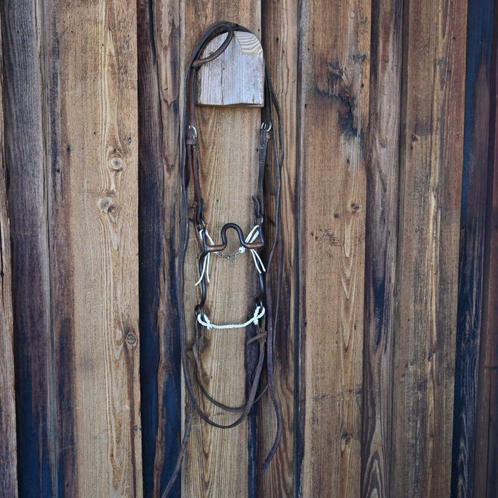 Solid Port Bridle Rig w/Single Ear Headstall