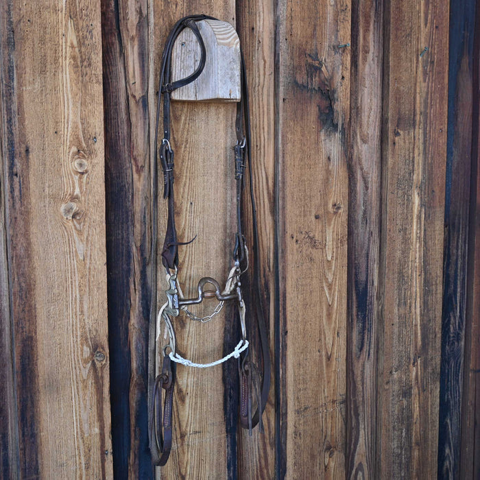 Classic Equine Solid Port Bridle Rig w/Single Ear Headstall