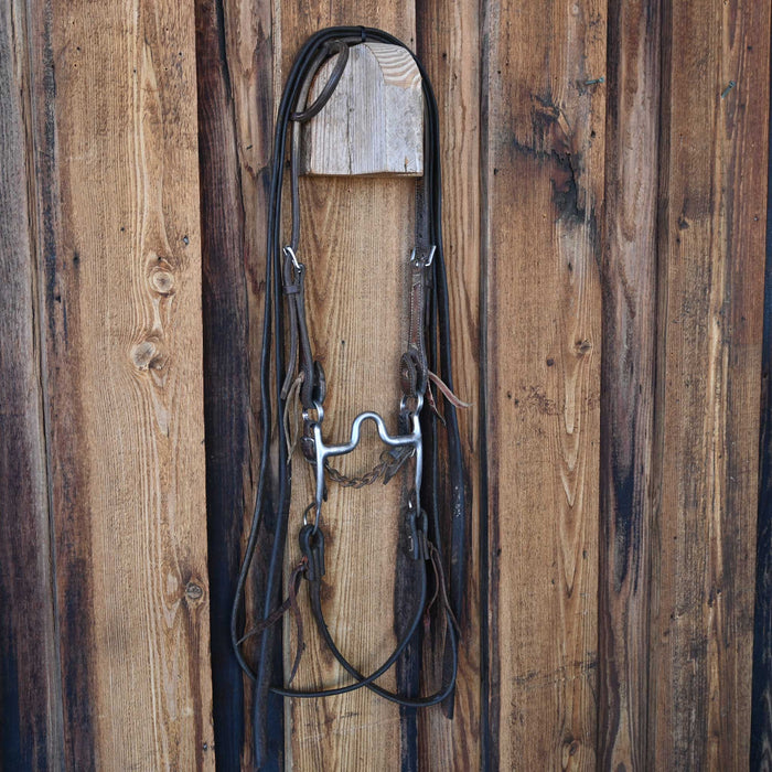 Ed Sims Solid Port Bridle Rig w/Single Ear Headstall