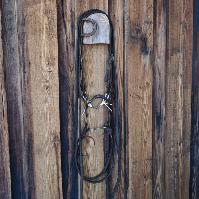 Solid Port Bridle Rig w/Single Ear Headstall