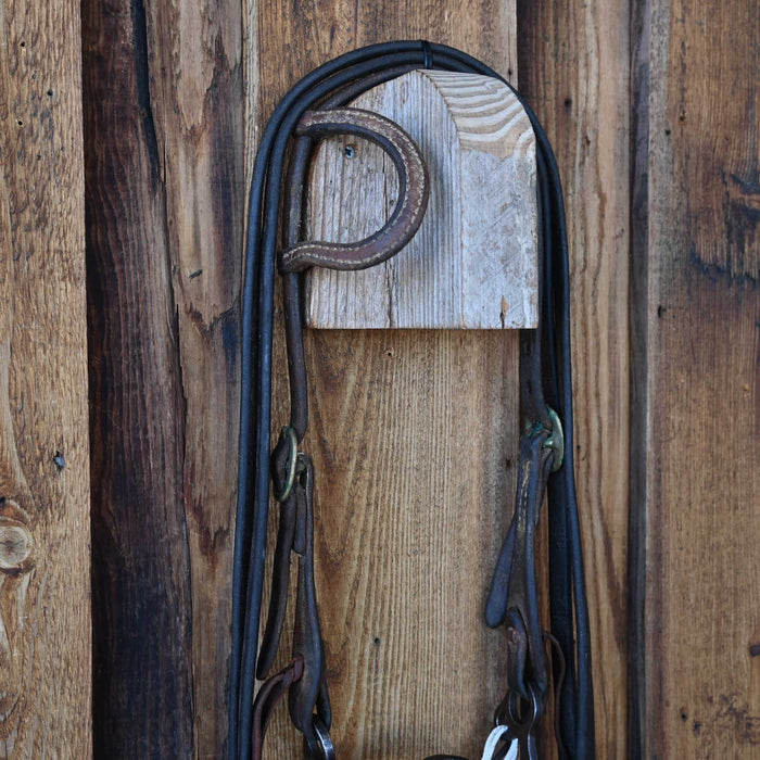 Solid Port Bridle Rig w/Single Ear Headstall