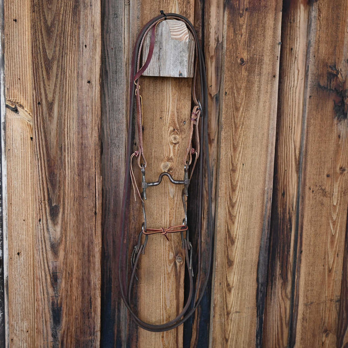 Eddy Martis Solid Port Bridle Rig w/Single Ear Headstall Tack - Rigs Eddy Martis