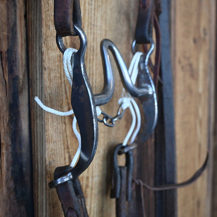 Jim Edwards High Cathedral Rig w/Single Ear Headstall