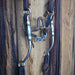 Cow Horse Supply Solid Port Bridle Rig w/Single Ear Headstall Tack - Rigs Cow Horse Supply