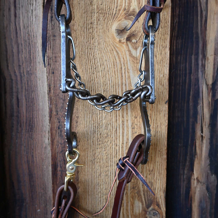 Anderson Chain Bridle Rig w/ Split Ear Headstall