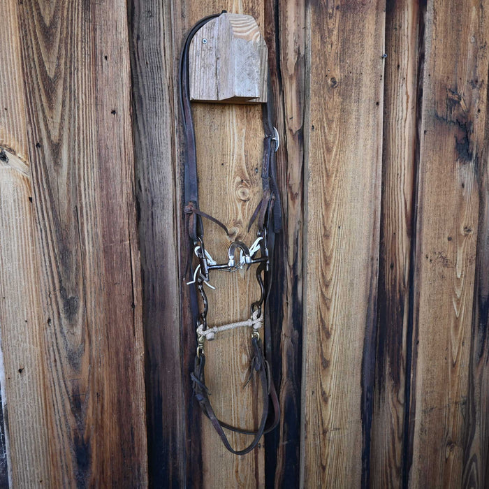 Hoover Correction Bridle Rig w/ Split Ear Headstall