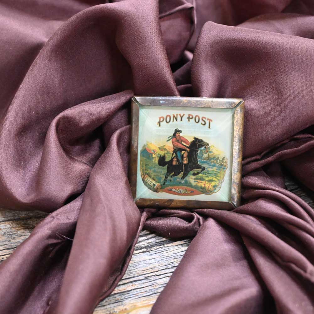 Vintage Pony Post Headstall Rosettes - Buttons  _CA905 Collectibles MISC   