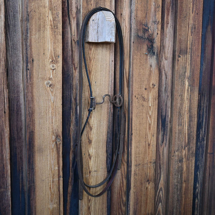 Sliding Gag Solid Port Bridle Rig w/Split Reins