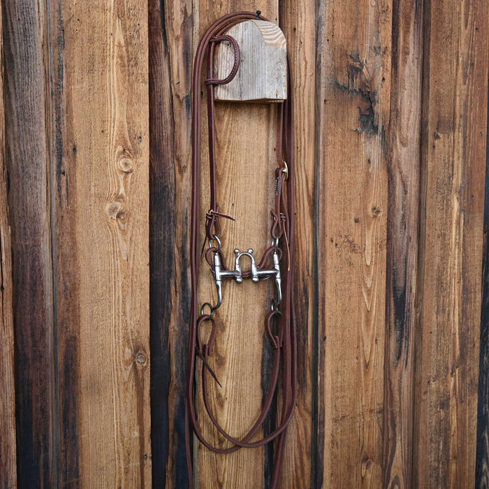 Bill Freeman Correction Bridle Rig w/All New Leather