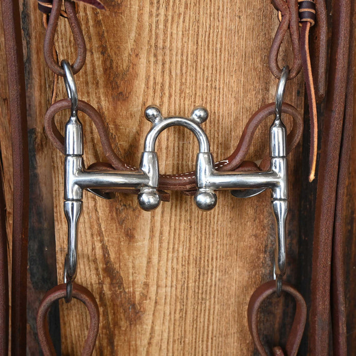 Bill Freeman Correction Bridle Rig w/All New Leather