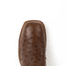 Justin Women's Piper Brown Ostrich Boot WOMEN - Footwear - Boots - Exotic Boots Justin Boot Co.
