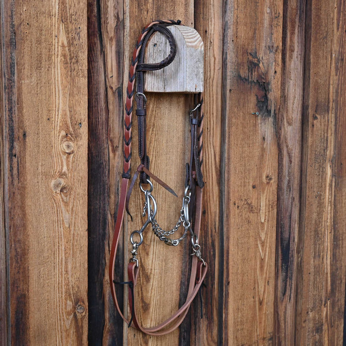 JC Bits Twisted Dogbone Bridle Rig w/Single Ear Headstall
