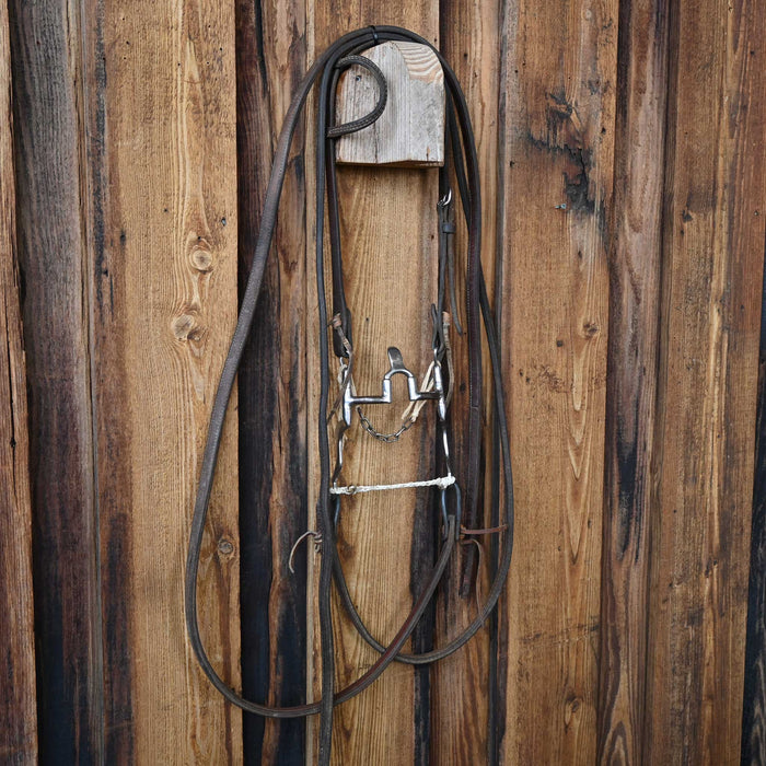 Toklat Myler Cathedral Correction Bridle Rig w/Single Ear Headstall
