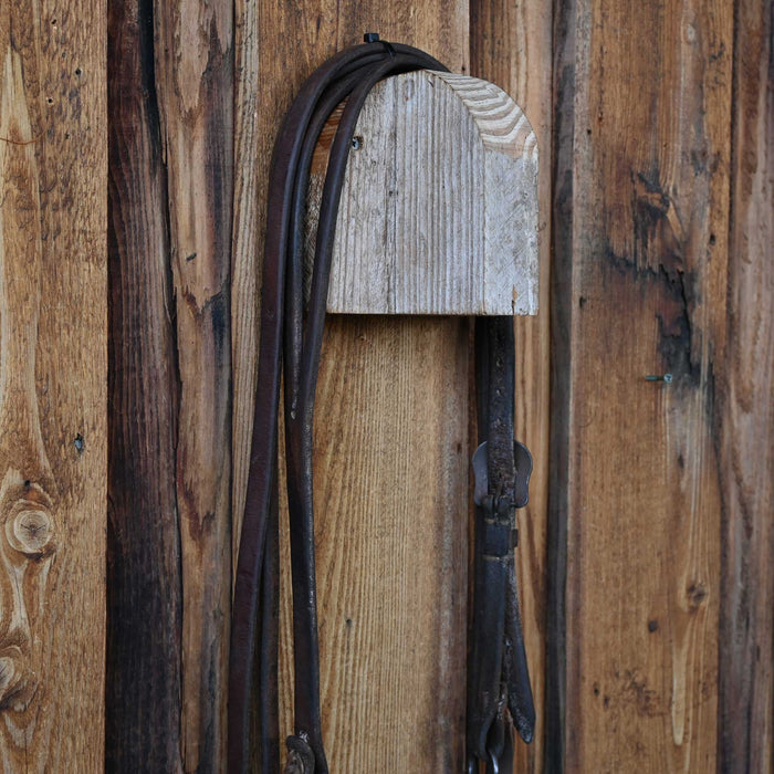 Dutton Correction Bridle Rig w/Split Ear Headstall