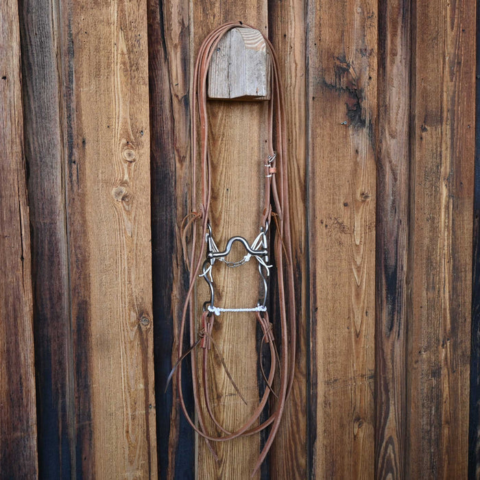 Kerry Kelley 10 Johnny Bridle Rig w/Craig Lewis Leather