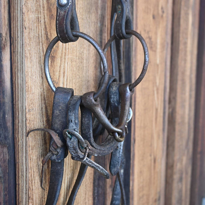O-Ring Smooth Snaffle Bridle Rig w/Browband Headstall Tack - Rigs misc