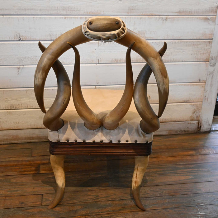 Vintage 1920's Horn Chair with wood base Collectibles MISC