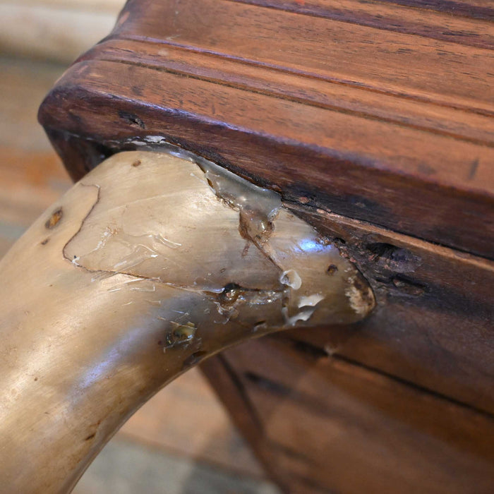 Vintage 1920's Horn Chair with wood base Collectibles MISC