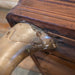 Vintage 1920's Horn Chair with wood base Collectibles MISC
