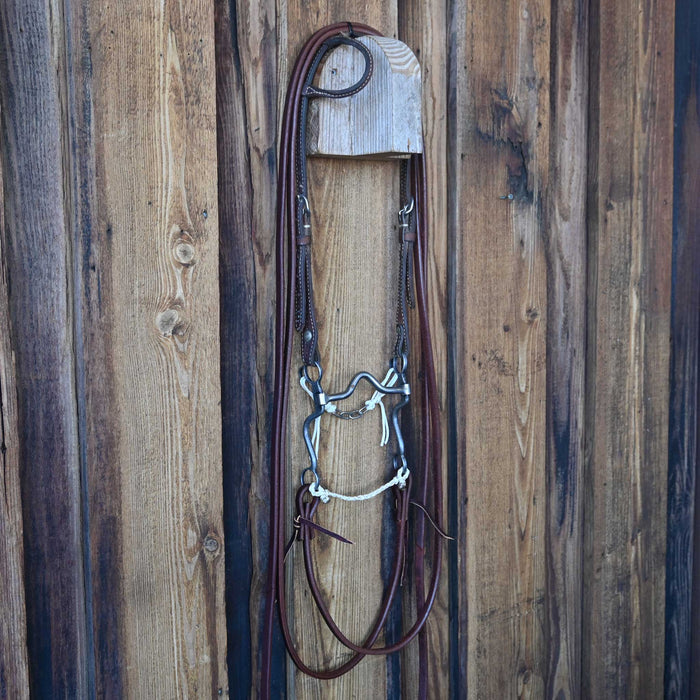 Solid Port Bridle Rig w/Single Ear Headstall