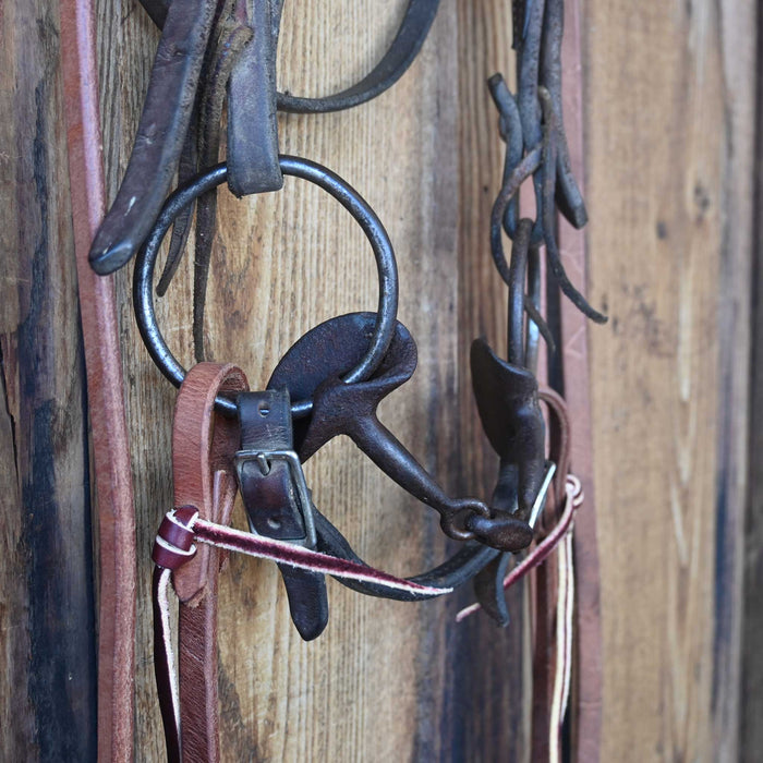 O-Ring 3pc. Bridle Rig w/Browband Headstall