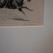Charging Hawk By Edward Borein Collectibles Edward Borein