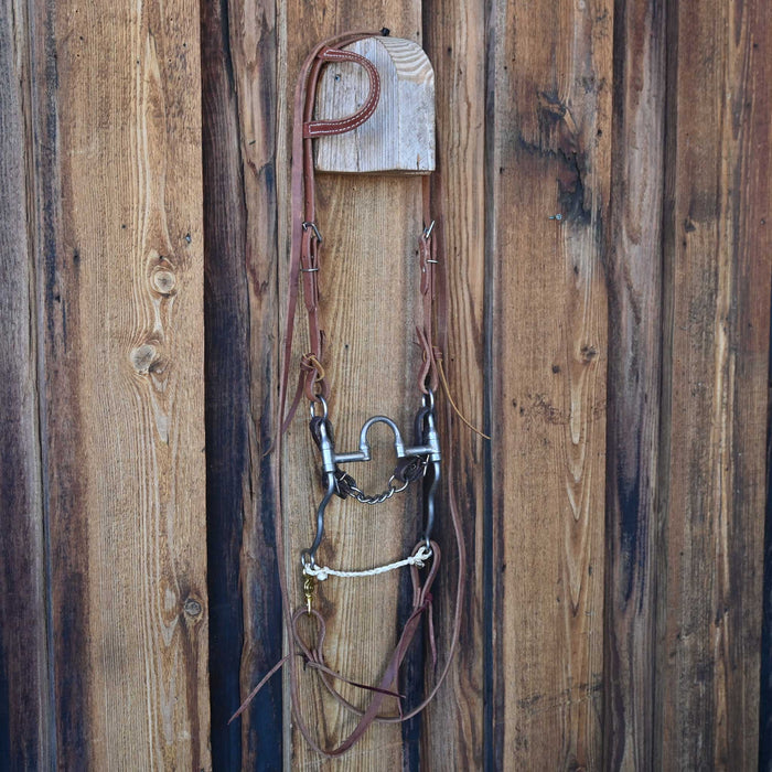 Ben Correction Bridle Rig w/Single Ear Headstall