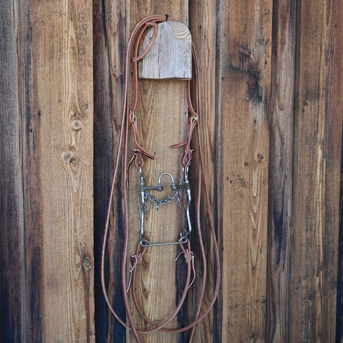 Don Hansen Correction Bridle Rig w/Single Ear Headstall