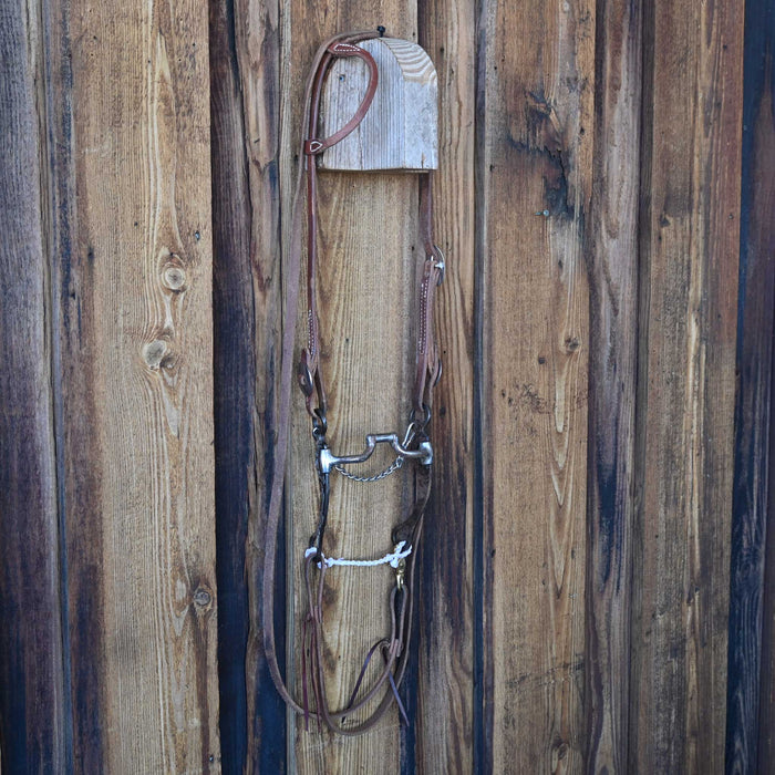 Hinge Port Bridle Rig w/Single Ear Headstall