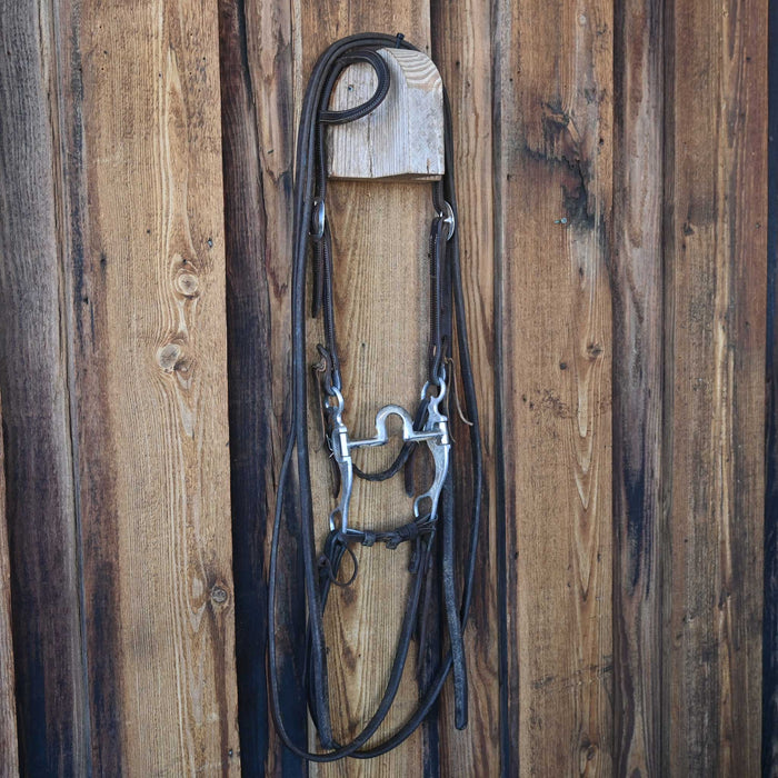 Bill Freeman Flat Port Bridle Rig w/Single Ear Headstall