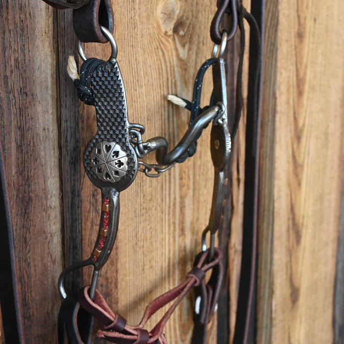 Ported Chain Bridle Rig w/Single Ear Headstall Tack - Rigs misc