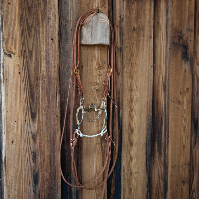 Don Hansen Correction Bridle Rig w/All New Leather