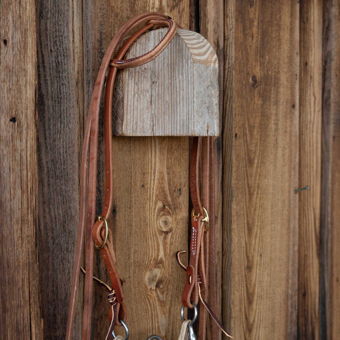 Don Hansen Correction Bridle Rig w/All New Leather