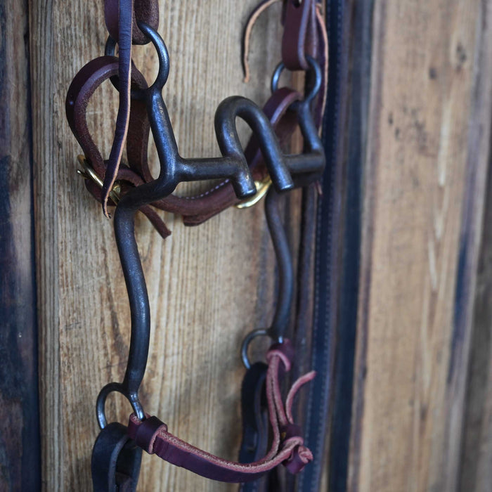 Daryl Davis Solid Port Bridle Rig w/Single Ear Headstall