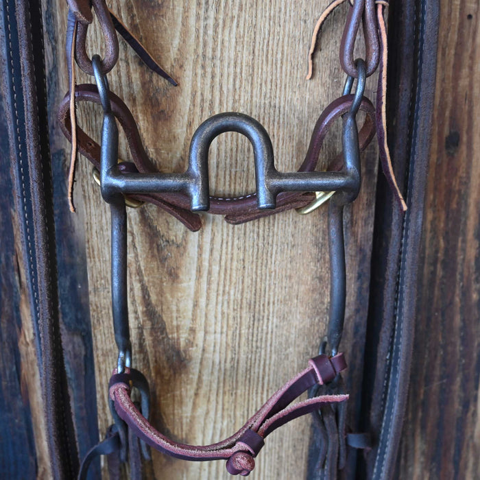 Daryl Davis Solid Port Bridle Rig w/Single Ear Headstall