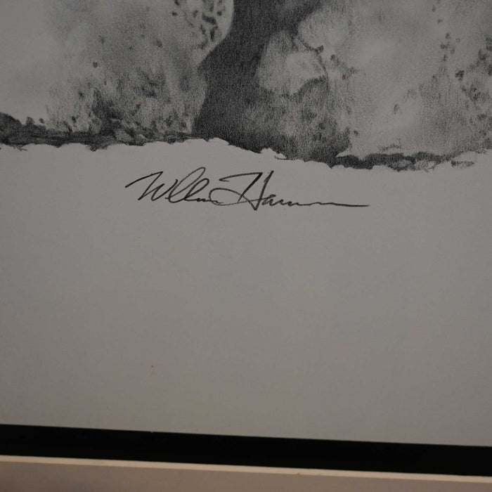 Banshee by Bill Harrison Collectibles Bill Harrison