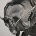 Banshee by Bill Harrison Collectibles Bill Harrison
