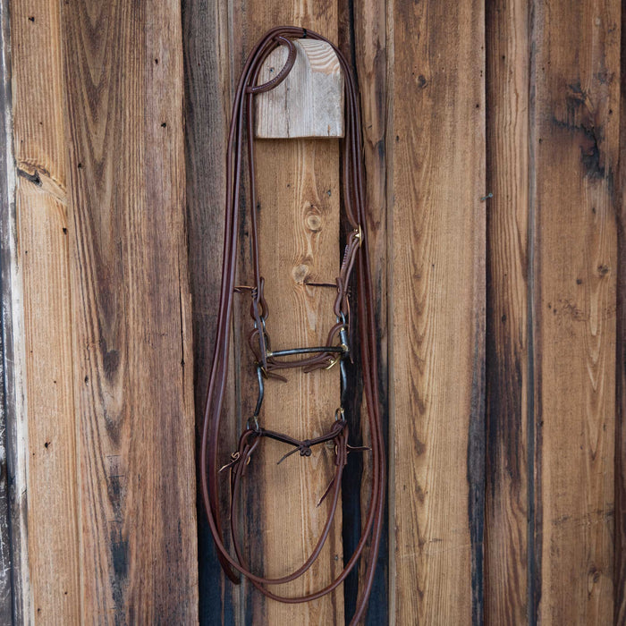 Mullen Bridle Rig w/All New Leather