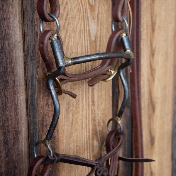 Headstalls & Rigs