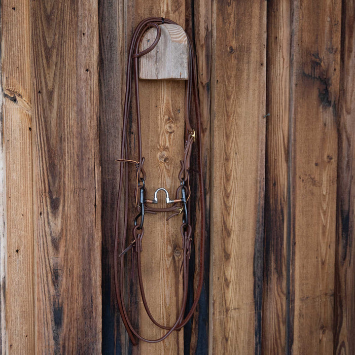 Correction Bridle Rig w/Single Ear Headstall Sale Barn misc